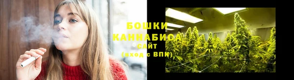 PSILOCYBIN Ладушкин