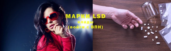 PSILOCYBIN Ладушкин