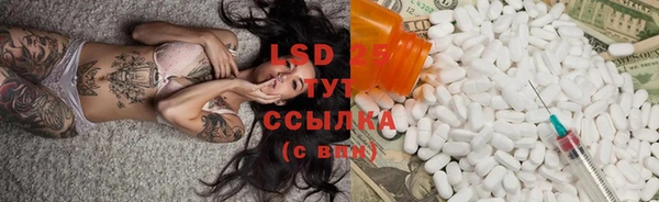 PSILOCYBIN Ладушкин