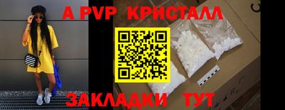 индика Камышлов