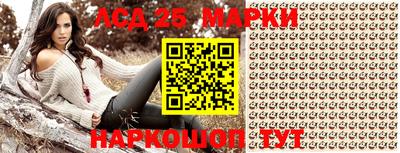 индика Камышлов