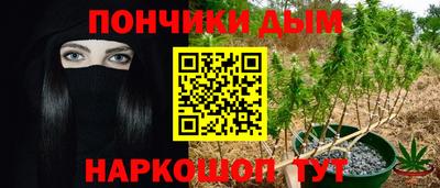 индика Камышлов