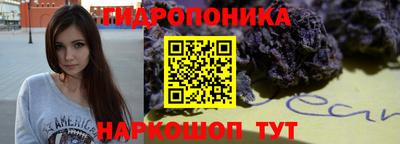 скорость Берёзовский