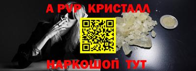 индика Камышлов