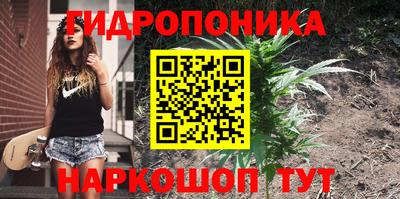 мдпв Кандалакша