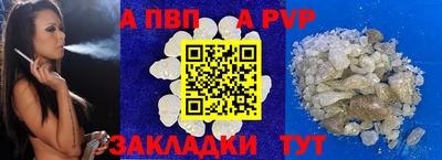 индика Камышлов