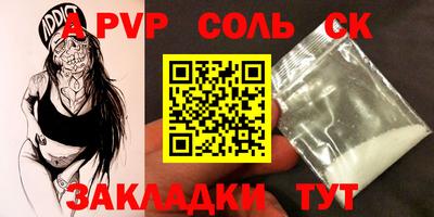 индика Камышлов