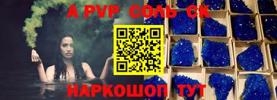 индика Камышлов