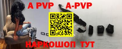 индика Камышлов