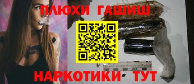 индика Камышлов