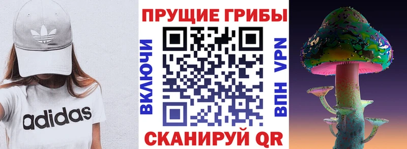 Галлюциногенные грибы ЛСД  Тулун 
