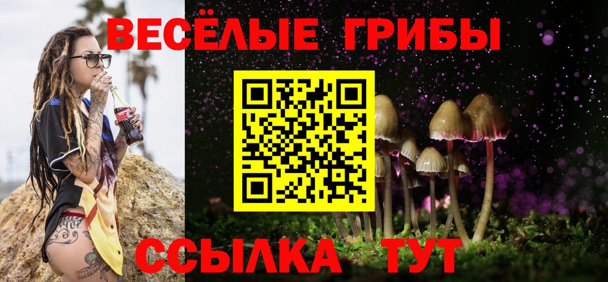 Тулун  Галлюциногенные грибы мицелий  Вход с VPN 