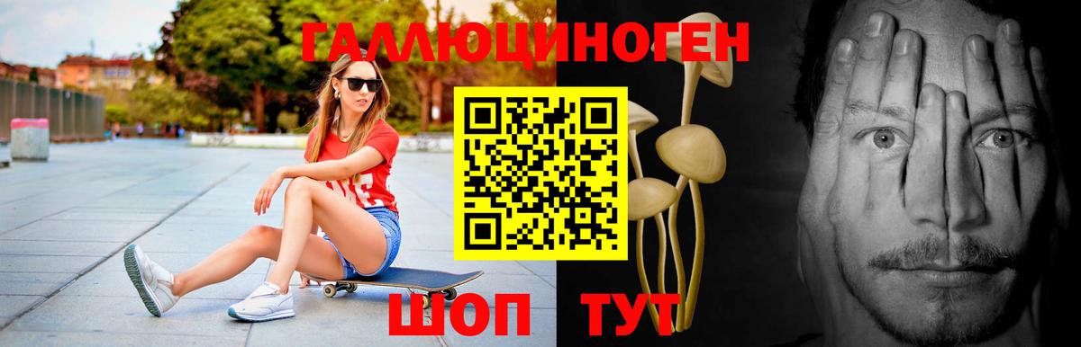 Псилоцибиновые грибы GOLDEN TEACHER  Тулун 